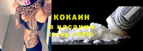 МДПВ Пересвет