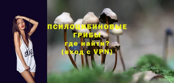 МДПВ Пересвет