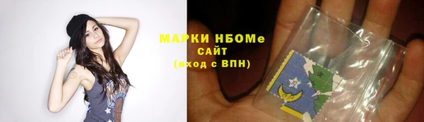 МДПВ Пересвет