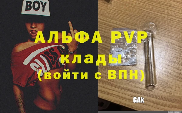 МДПВ Пересвет