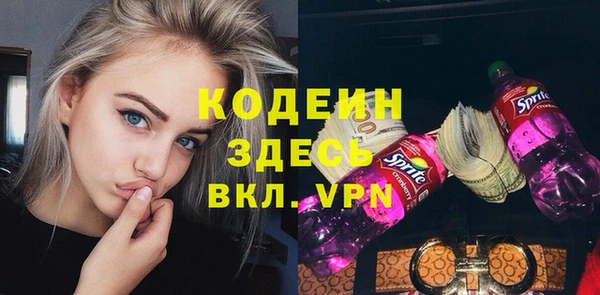 МДПВ Пересвет