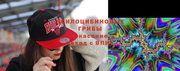 ALPHA PVP Переславль-Залесский