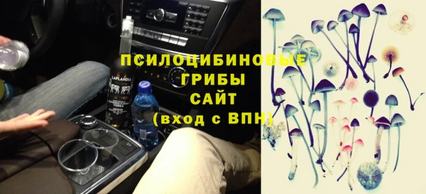 МДПВ Пересвет