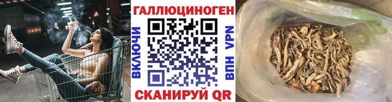 Галлюциногенные грибы Psilocybine cubensis  Алапаевск 