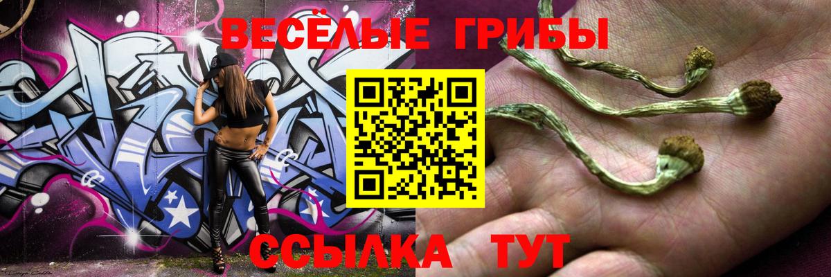 Галлюциногенные грибы Psilocybe  Вход с VPN  Псилоцибиновые грибы MAGIC MUSHROOMS  Алапаевск 