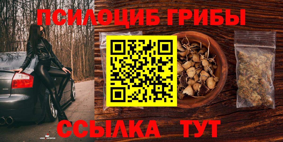 Галлюциногенные грибы Psilocybine cubensis  продажа наркотиков  Алапаевск 